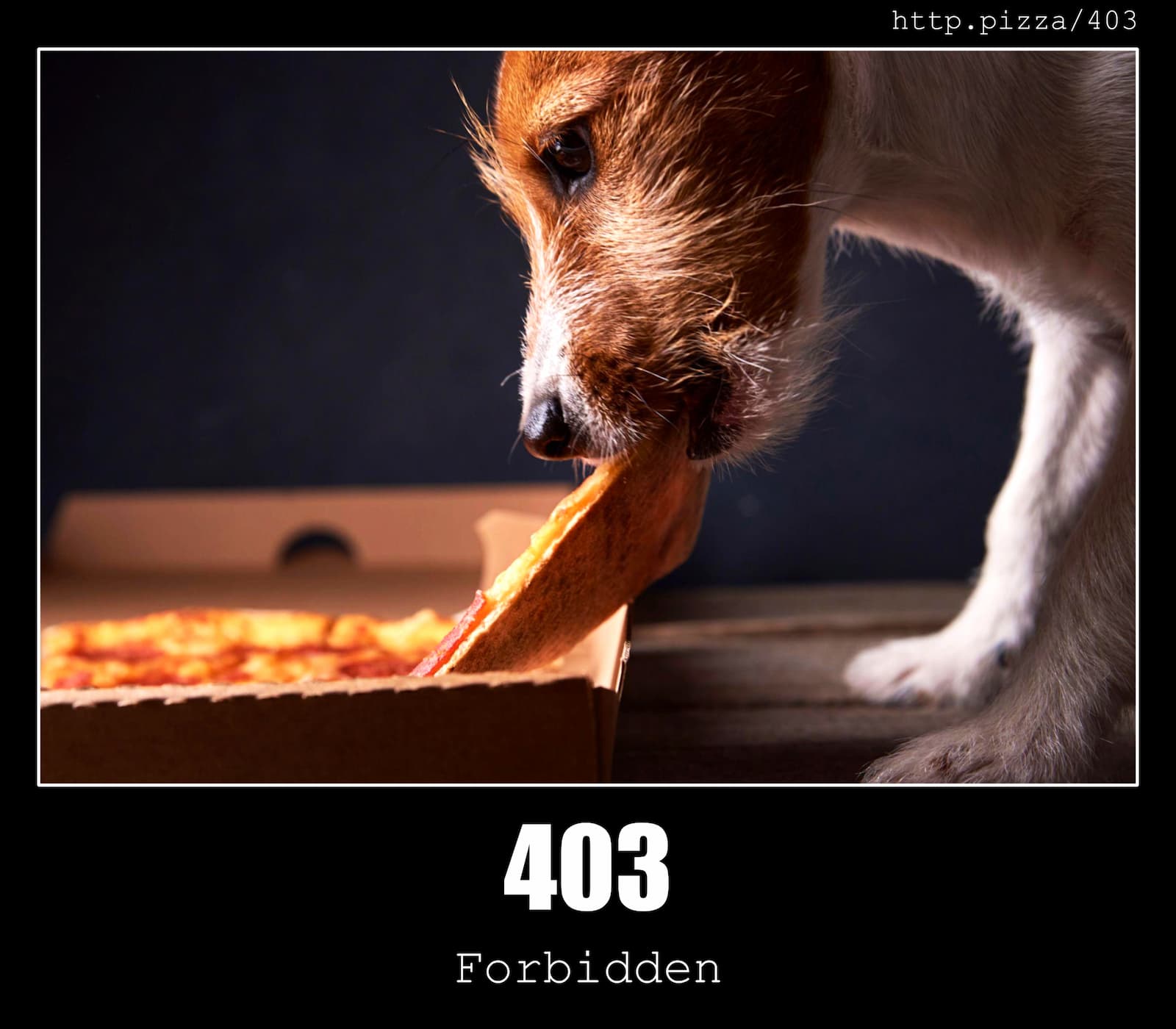 403 Forbidden HTTP Status Code And Pizzas 