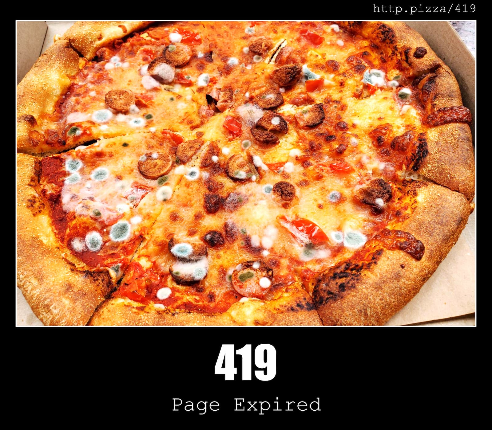 HTTP Status Code 419 Page Expired & Pizzas
