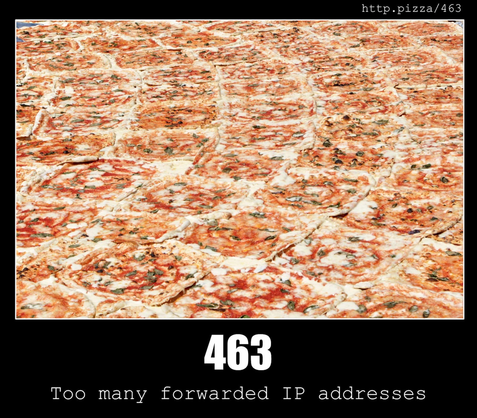 HTTP Status Code 463 Too many forwarded IP addresses & Pizzas