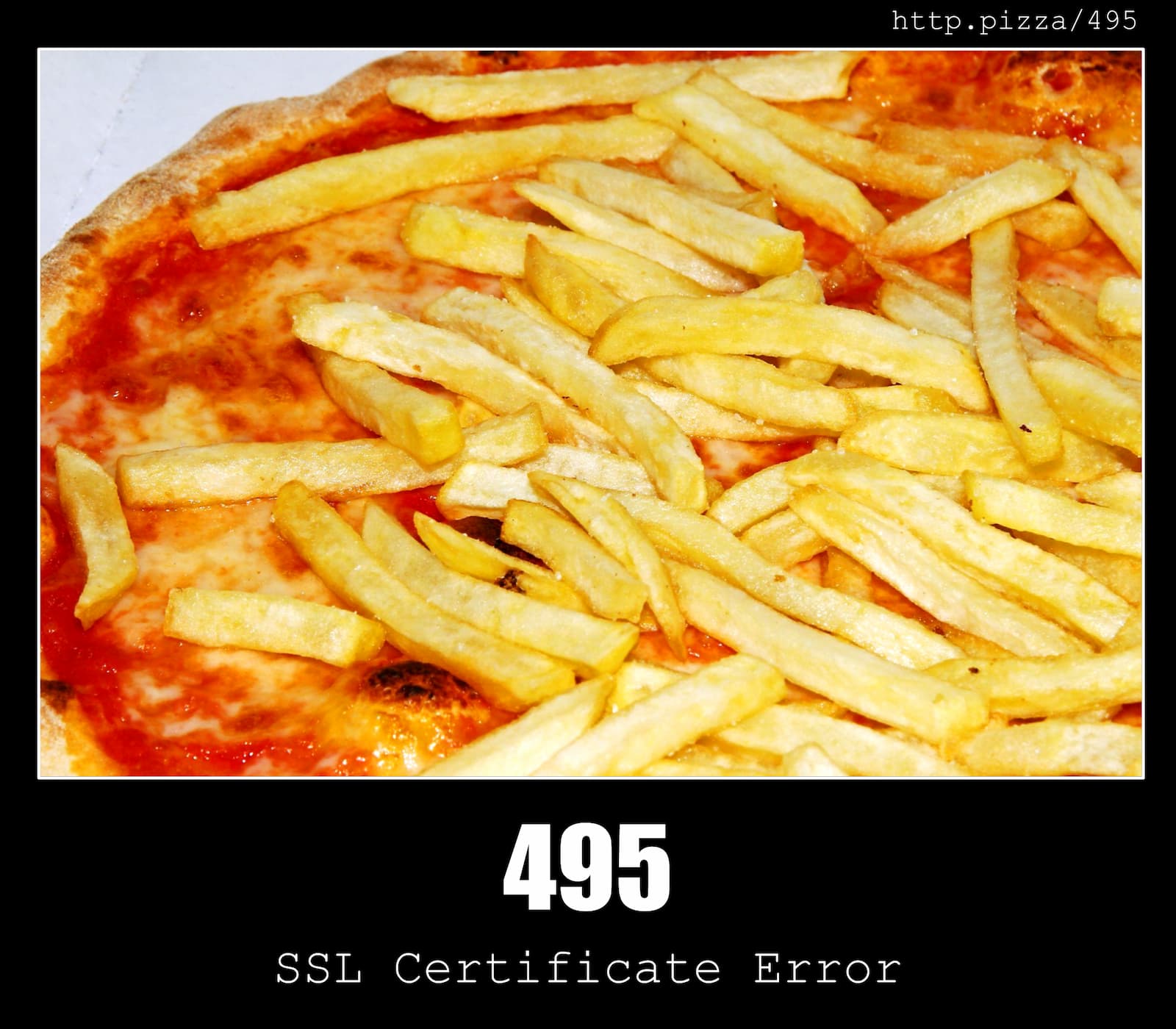 HTTP Status Code 495 SSL Certificate Error & Pizzas
