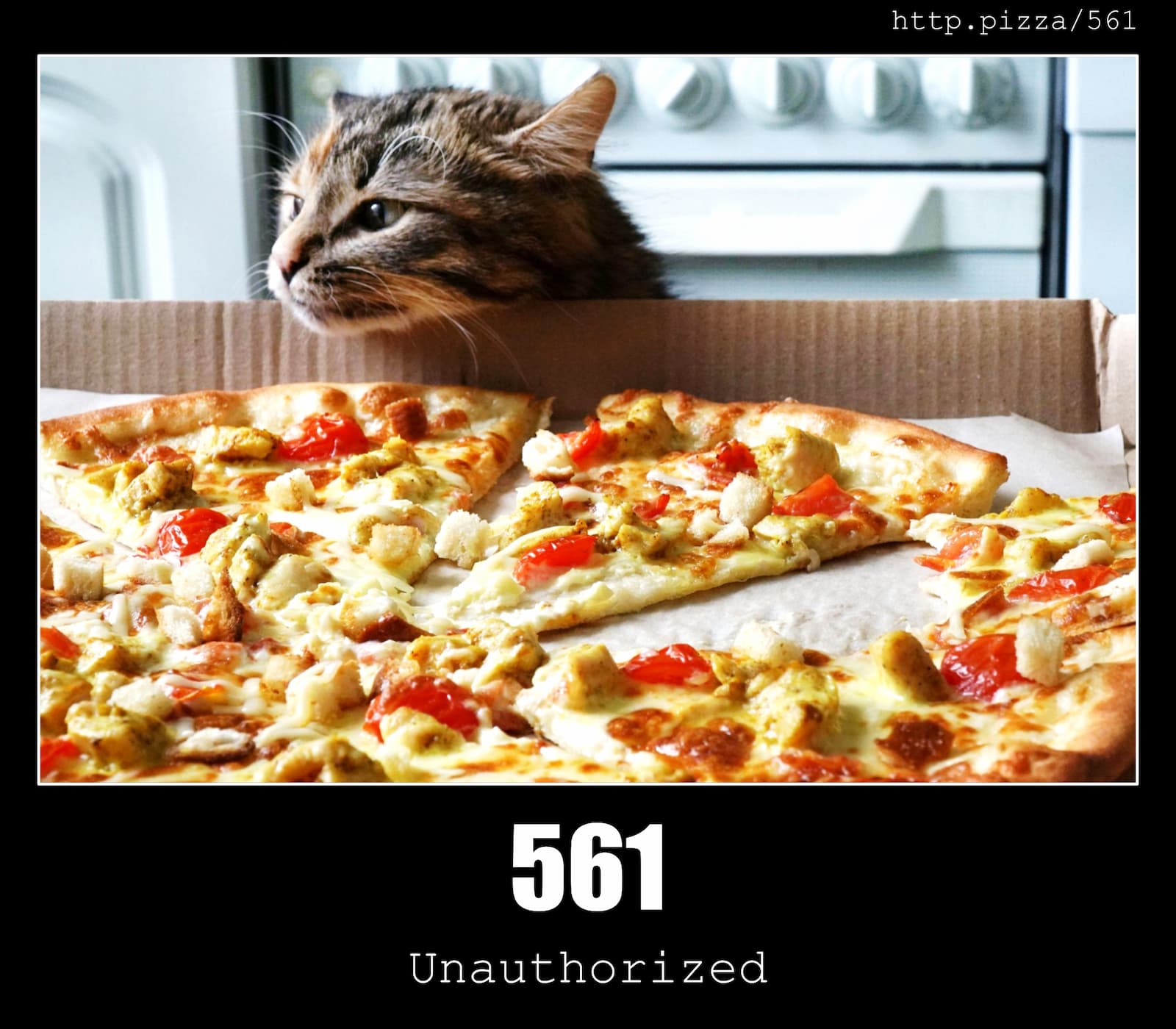 HTTP Status Code 561 Unauthorized & Pizzas