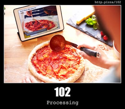 102 Processing & Pizzas