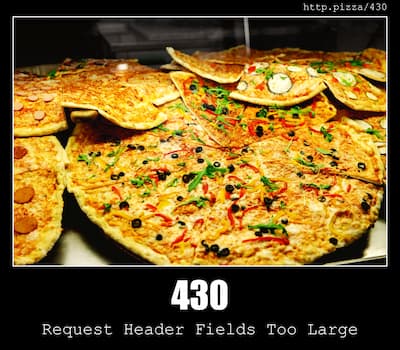 430 Request Header Fields Too Large & Pizzas