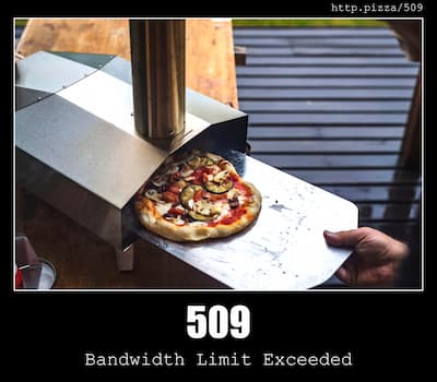 509 Bandwidth Limit Exceeded & Pizzas